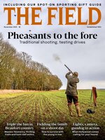 The Field